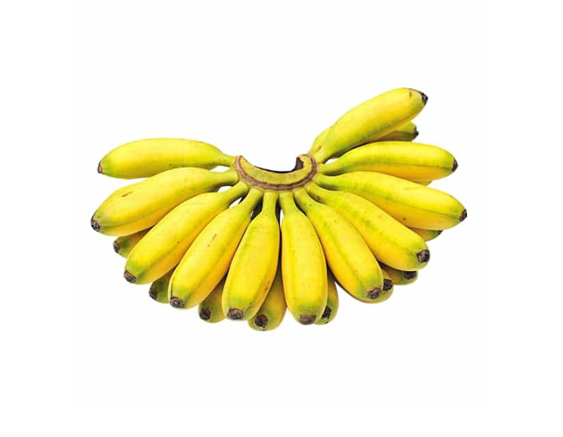 CHAMPA BANANA 12PCS