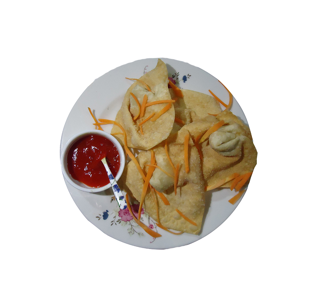 WONTON 4PCS