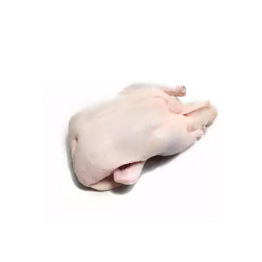 Belgium Duck 1 kg ( বেলজিয়াম হাঁস )