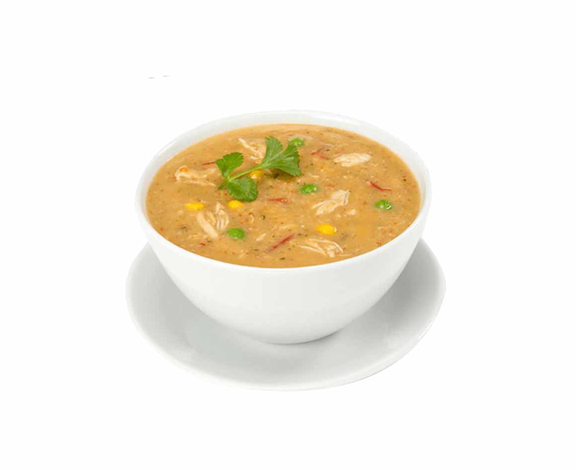 CHICKEN VEGETABLE SOUP