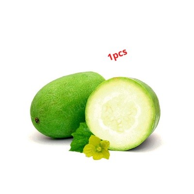 Water Pumpkin (CHAL KUMRA) 1PCS