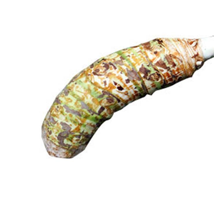 DESHI KOCHU 1KG (LONG)