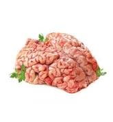 BEEF BRAIN