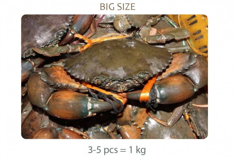 DESHI CRAB ( কাঁকড়া বড় 3-5 পিস এ ১ কেজি )