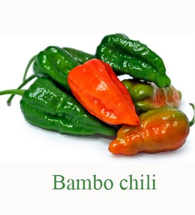 BOMBAY CHILI 1 PCS