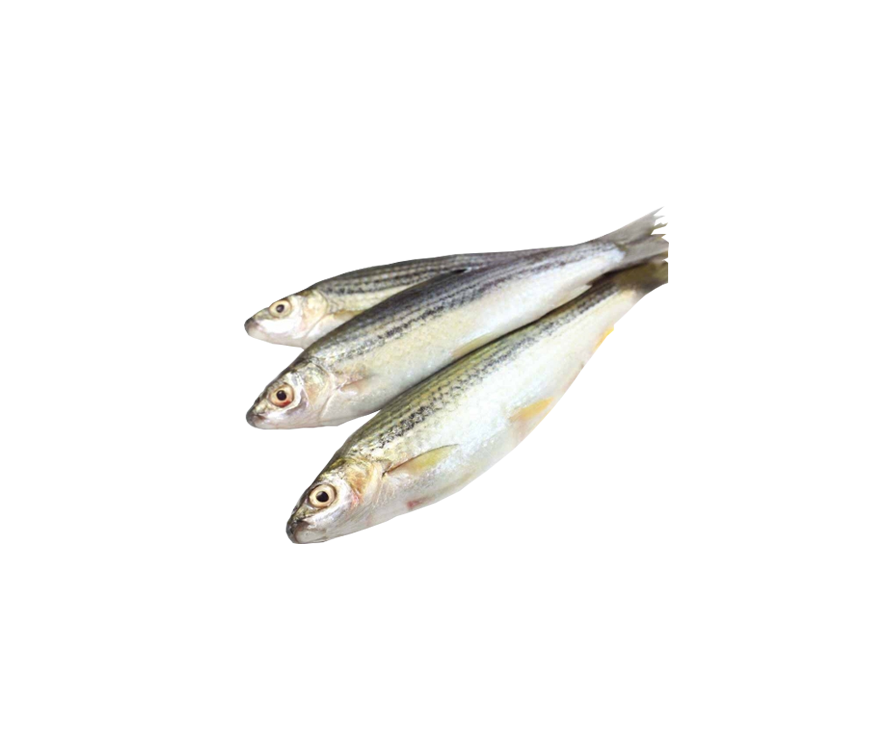 TATKINI FISH (DESHI) 1KG