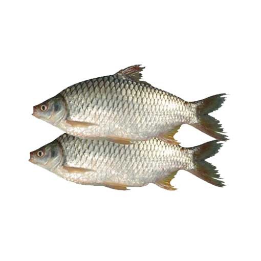 SHORPUTI FISH 1KG (Offer )