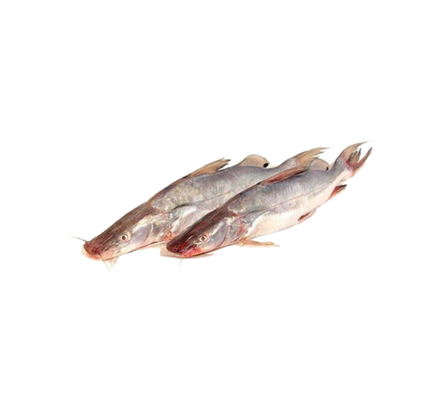 AYER FISH  MINI 1KG