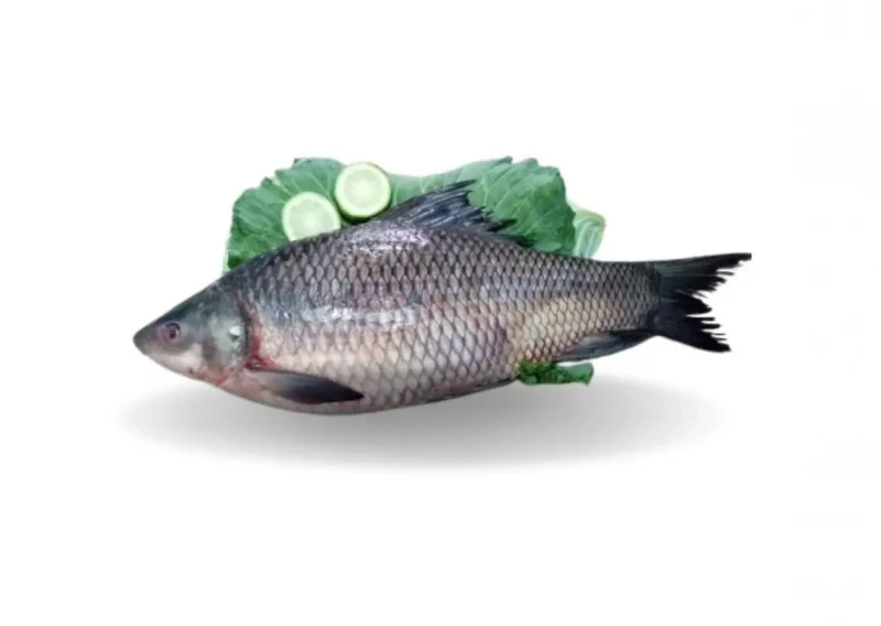 KALI BAUSH DESHI B 1 KG