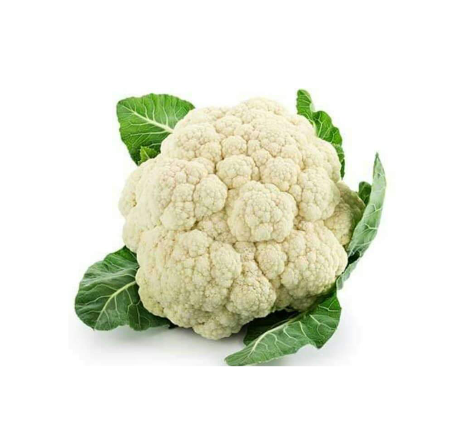 CAULIFLOWER 1PCS (FUL KOPI)